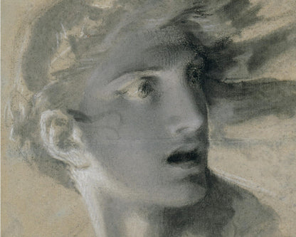 Pierre - Paul Prud'hon "The Head of Vengeance" (c.1804) - Mabon Gallery