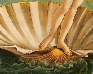 Sandro Botticelli "The Birth of Venus" (c.1483 - 1485) - Mabon Gallery