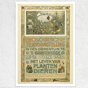 Theo van Hoytema "Biologische Tentoonstelling" (c.1910) - Mabon Gallery