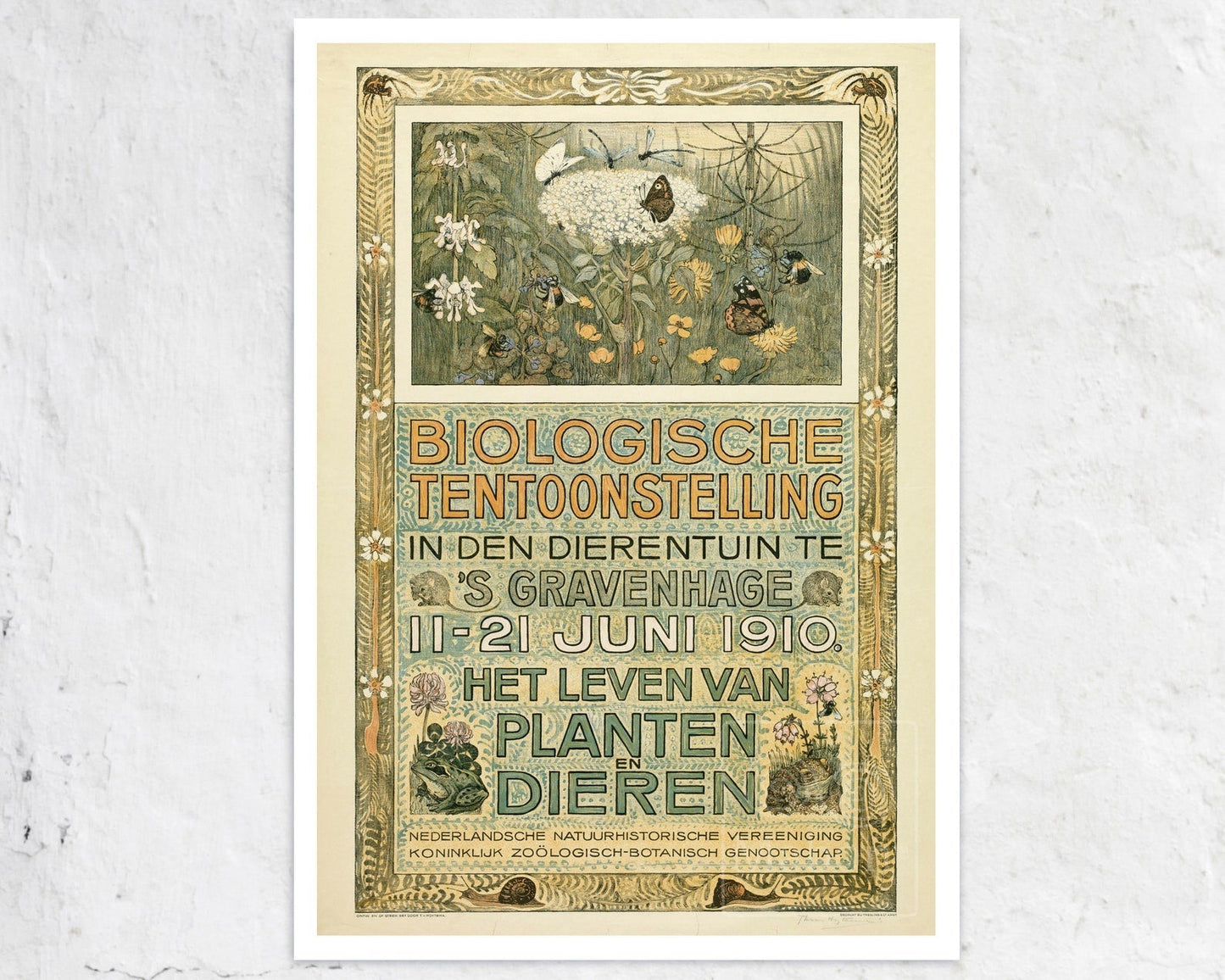 Theo van Hoytema "Biologische Tentoonstelling" (c.1910) - Mabon Gallery