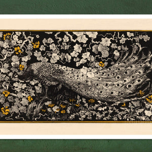 Theo van Hoytema "Peacock" (c.1900) - Mabon Gallery