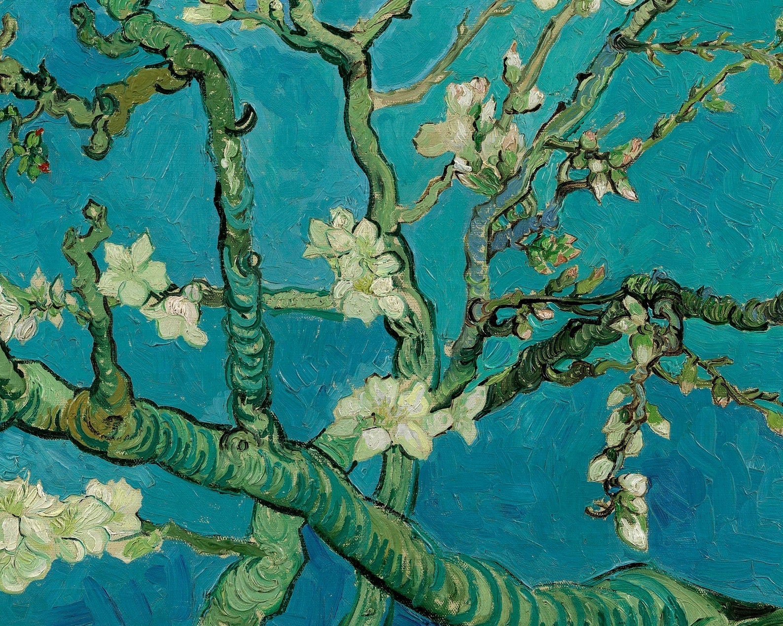 Vincent Van Gogh "Almond Blossom" (c.1890) - Mabon Gallery