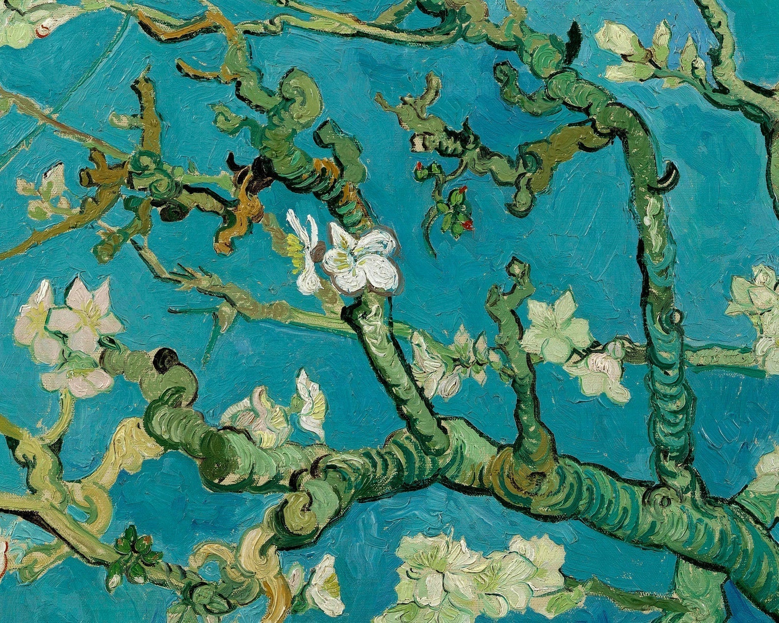 Vincent Van Gogh "Almond Blossom" (c.1890) - Mabon Gallery