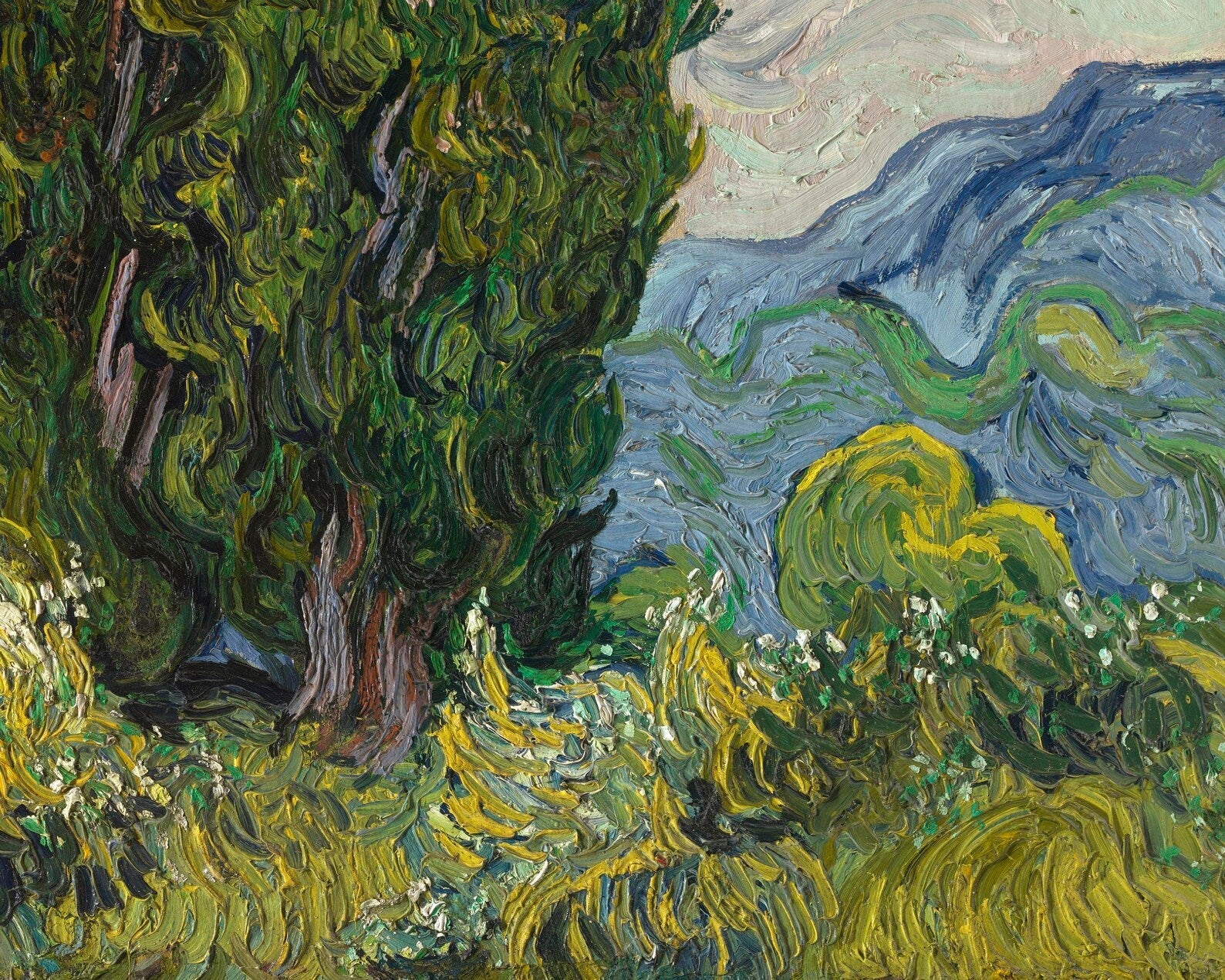 Vincent Van Gogh "Cypresses" (c.1889) - Mabon Gallery