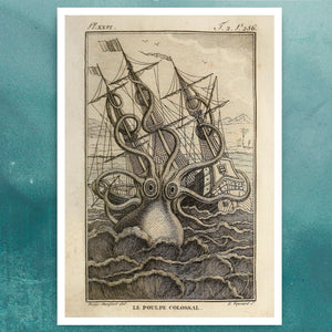 Vintage Book Illustration "Le Poulp Colossal" (c.1802) - Mabon Gallery