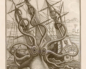 Vintage Book Illustration "Le Poulp Colossal" (c.1802) - Mabon Gallery