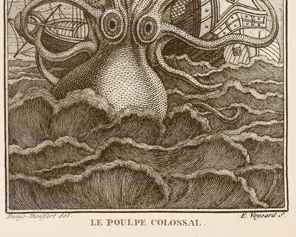 Vintage Book Illustration "Le Poulp Colossal" (c.1802) - Mabon Gallery