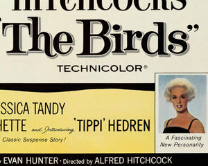 Vintage Movie Poster "The Birds" (c.1963) Alfred Hitchcock - Mabon Gallery