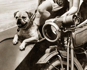 Vintage Photograph "Let's Ride" (c.1918) Marie Prevost & Phyllis Haver - Mabon Gallery