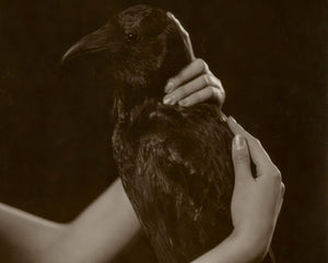 Vintage Photograph Theda Barra "The She - Devil" (c.1918) Promotional Still - Mabon Gallery