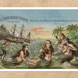 Vintage Trade Postcard "Ayres Hair Vigour" (c.1896) - Mabon Gallery