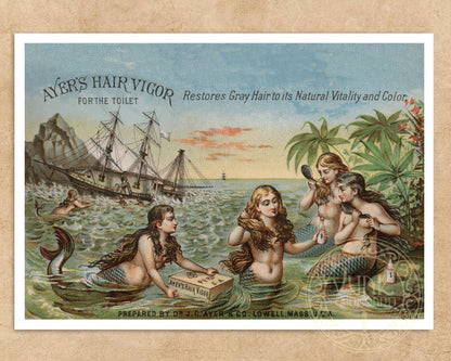 Vintage Trade Postcard "Ayres Hair Vigour" (c.1896) - Mabon Gallery