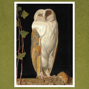 William James Webbe "The White Owl" (c.1856) - Mabon Gallery