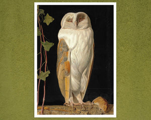 William James Webbe "The White Owl" (c.1856) - Mabon Gallery