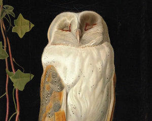 William James Webbe "The White Owl" (c.1856) - Mabon Gallery